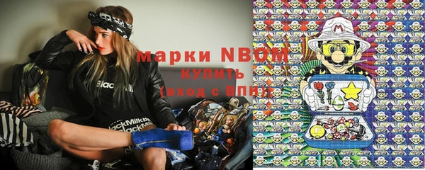 прущие грибы Зеленокумск