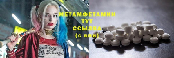прущие грибы Зеленокумск