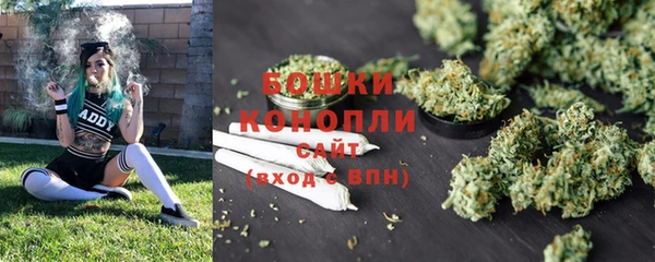 прущие грибы Зеленокумск