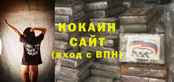 прущие грибы Зеленокумск