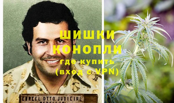 прущие грибы Зеленокумск