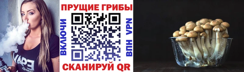 Купить  Беломорск  Галлюциногенные грибы ЛСД 